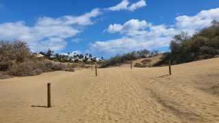 2023-GC--Mapalomas dunas-S123-028.jpg